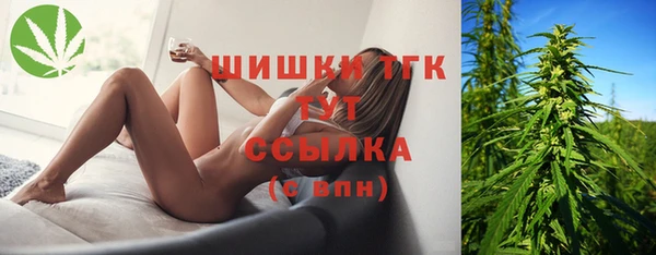 эйфоретик Арсеньев