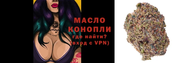 эйфоретик Арсеньев