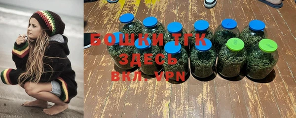 ешки Медногорск