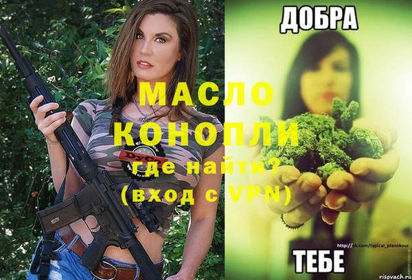гидра Аркадак