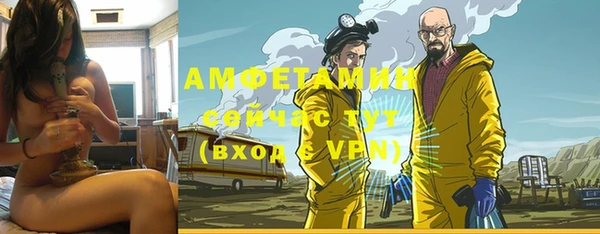 гидра Аркадак