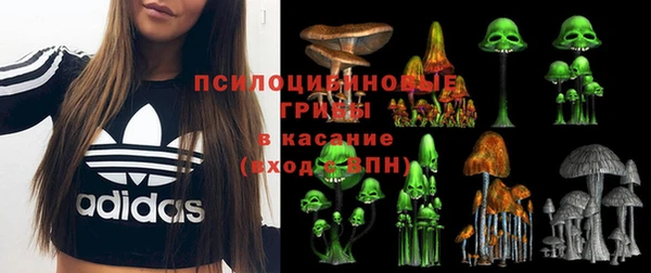 гидра Аркадак