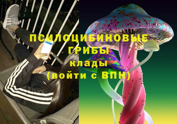 эйфоретик Арсеньев