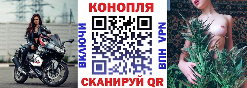 где купить наркоту  мега tor  Каннабис AK-47  Тавда 